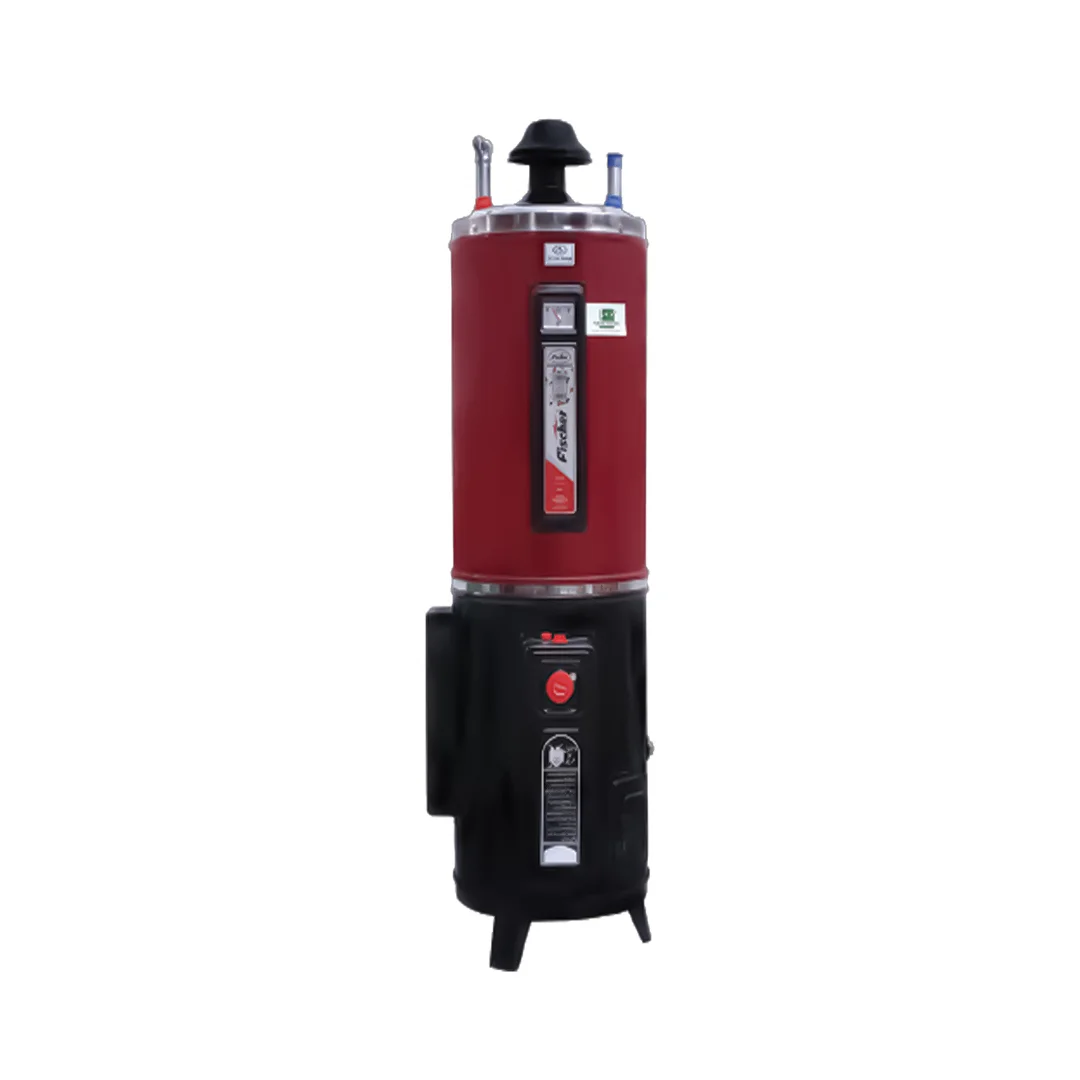 Fischer Hybrid (Electric + Gas) Water Heater