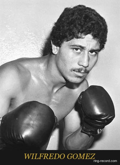 WILFREDO GOMEZ