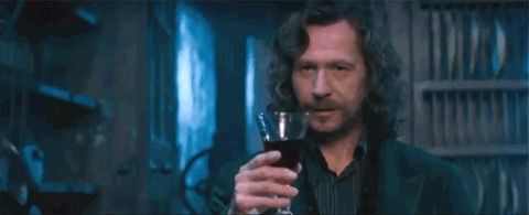 harry potter theories sirius black
