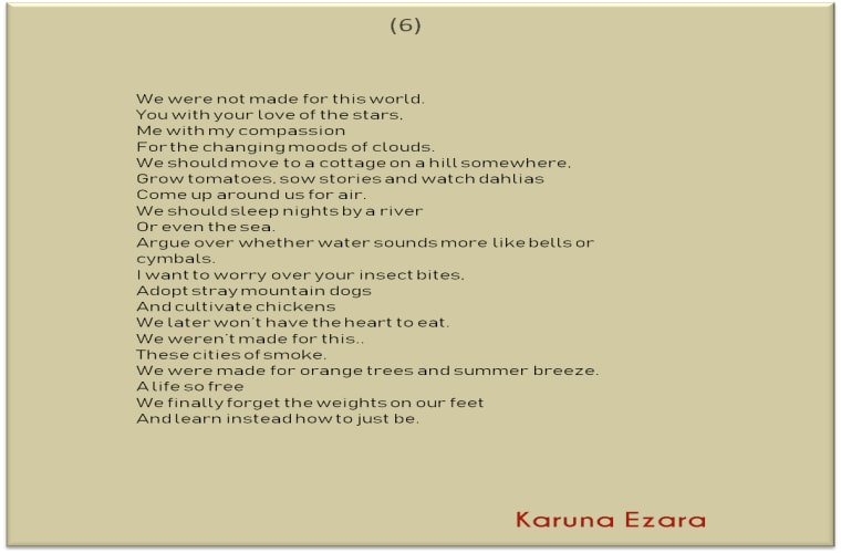 Talk About Seeking Yourself In Poems On World Poetry Day
