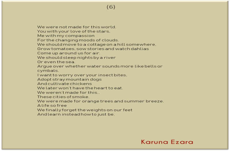 Talk About Seeking Yourself In Poems On World Poetry Day