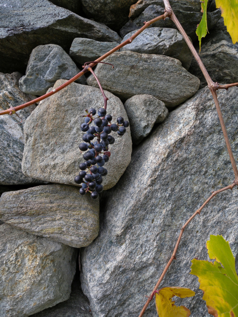 5. Particolare di muretto misto a prevalenza di anfibolite. Conci smussati da trasporto glaciale. Clapéon, Saint-Vincent.