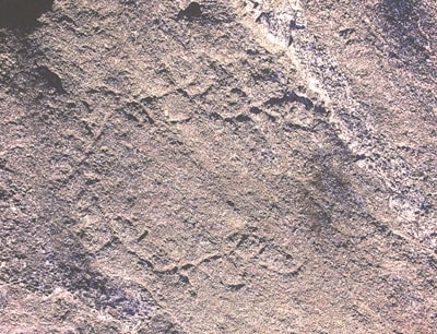 Il delicato disegno dell'incisione rupestre fra Bondon e la Croix de Piole