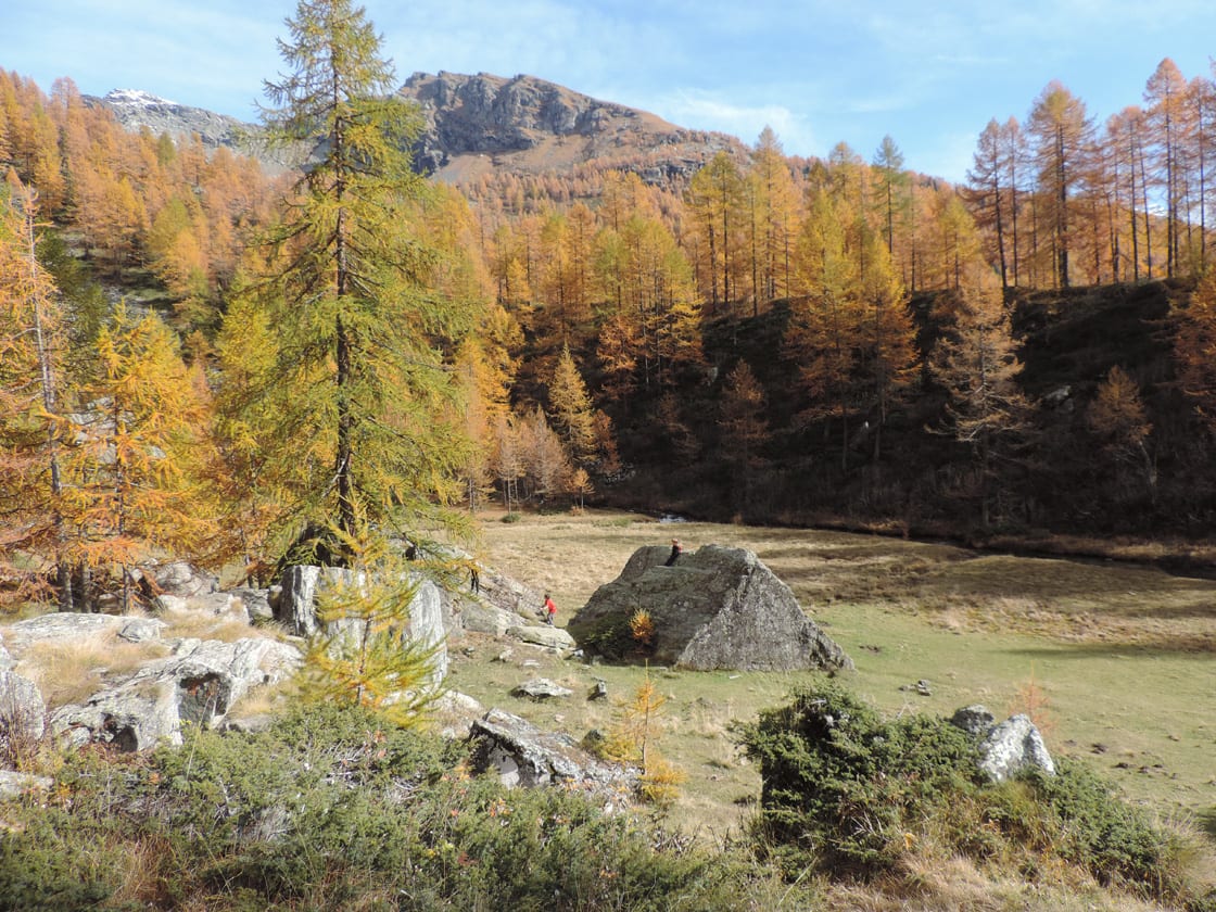 05. Il breve ripiano alluvionale è rinchiuso tra la roccia del vallone di Tsère e il cordone morenico dell'antico ghiacciaio di Verra. Grossi massi geometricamente fratturati dalle faglie sono caduti sul ripiano.