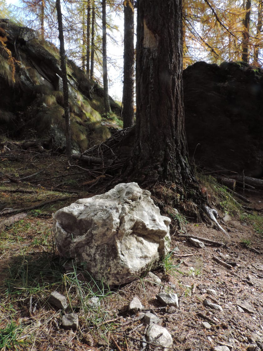13b. Accanto alla fornace ecco un bel blocco di calcare dolomitico proveniente dalla fascia bianca sovrastante. Materia prima non ideale ma accettabile per produrre la calce.