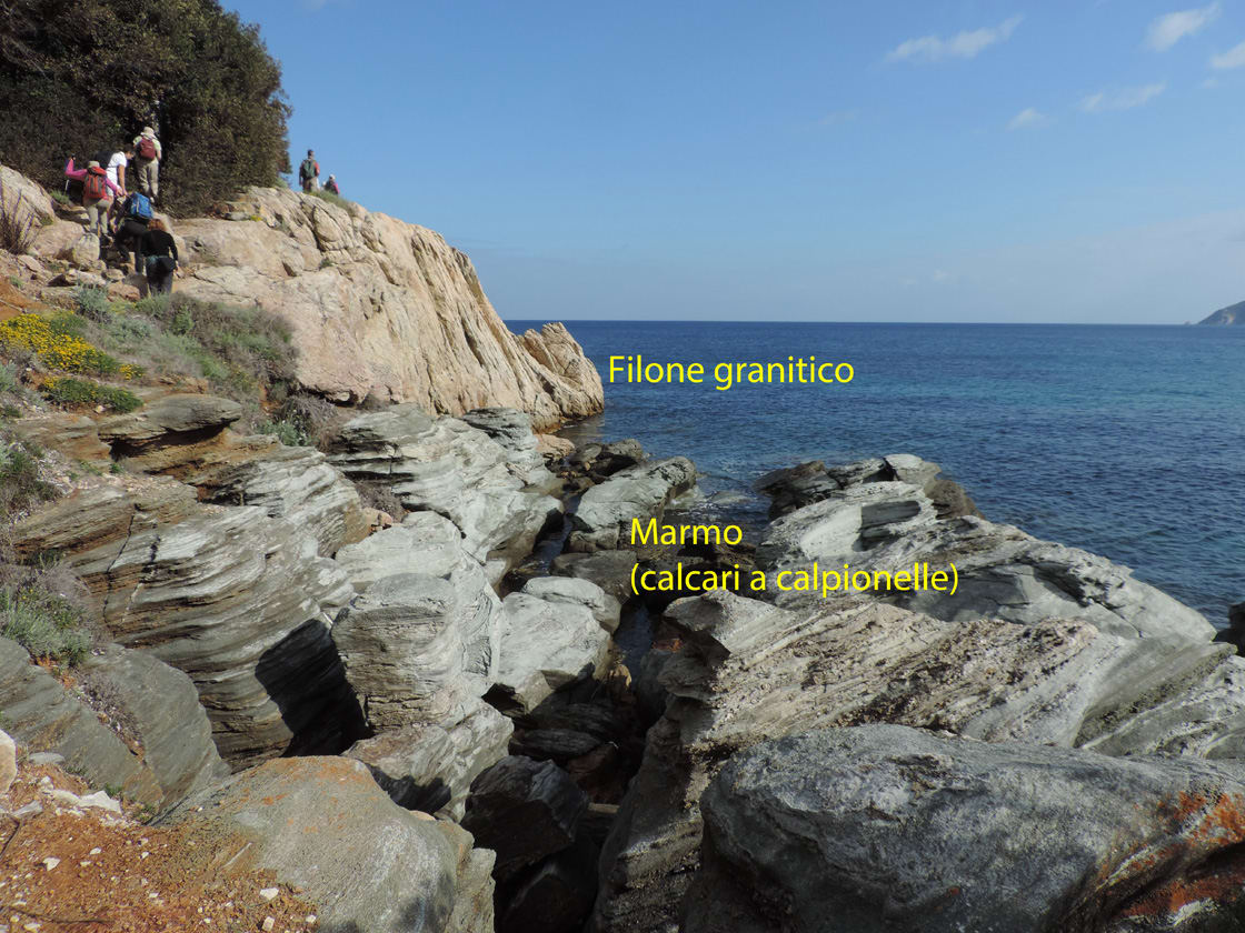 08a. Spartaia. Un filone granitico circa 7 milioni di anni fa si è venuto a sistemare sui sedimenti oceanici (calcari a calpionelle) che erano lì da un centinaio di milioni di anni.