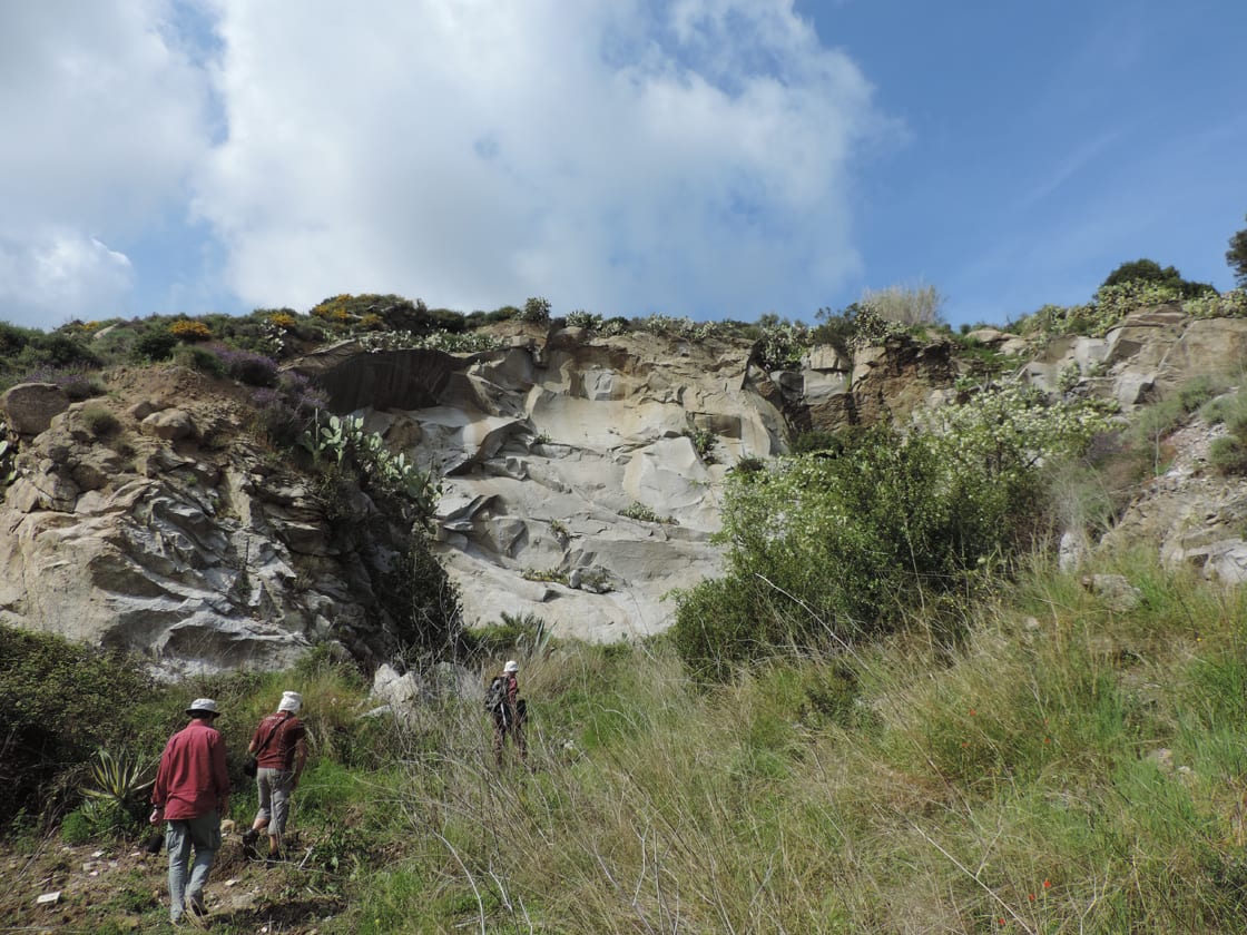 06a. San Piero in Campo: il fronte della cava dismessa.