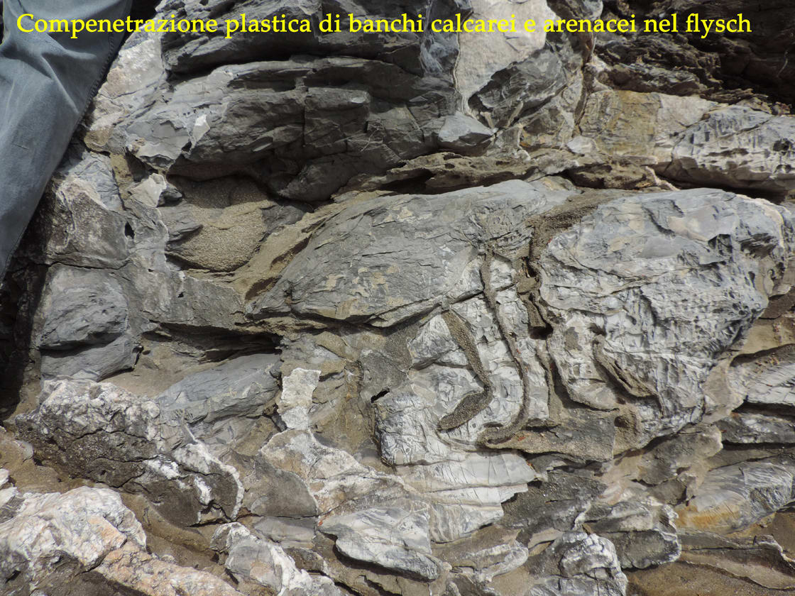 05b. Marina di Campo. Movimenti franosi sui fianchi dell'oceano hanno coinvolto e compenetrato sedimenti calcarei (calcari a calpionelle) e argillosi o arenacei (argille a palombini).