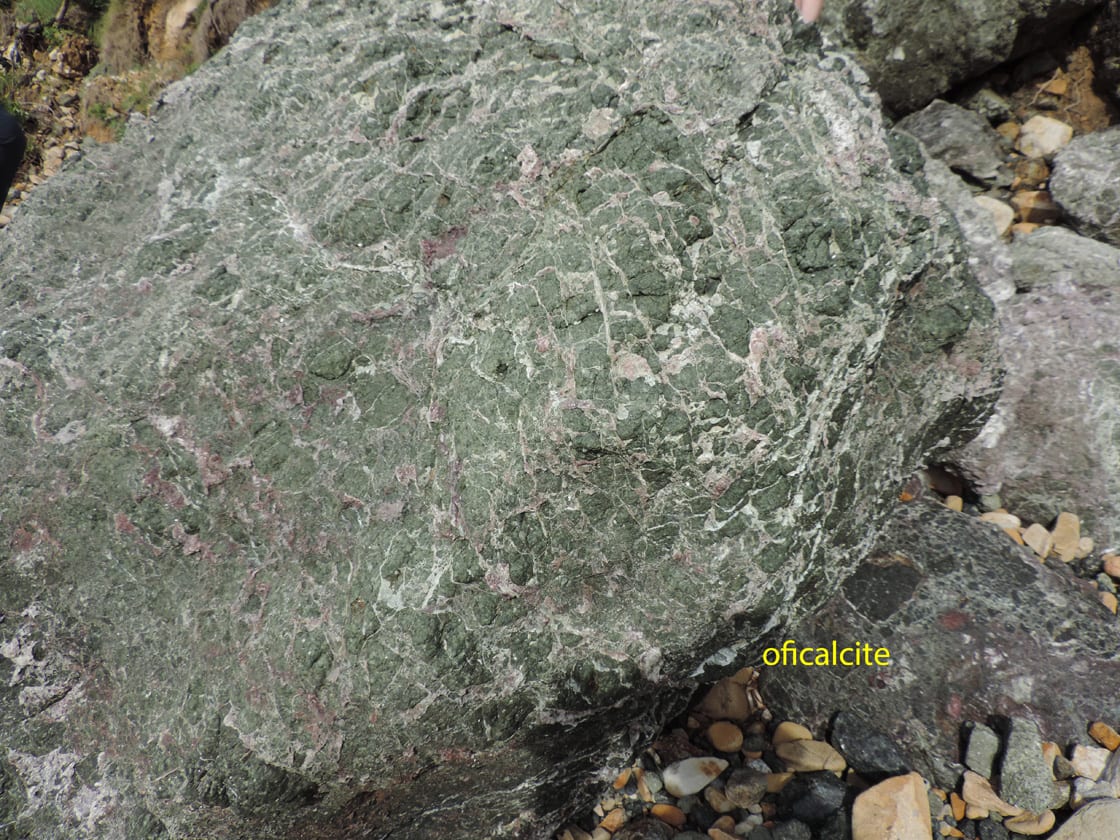 02b. La roccia più comune a Punta della Contessa è formata da frammenti di serpentinite (roccia del fondo oceanico derivata dal mantello sottostante) tenuti insieme da un cemento calcareo.