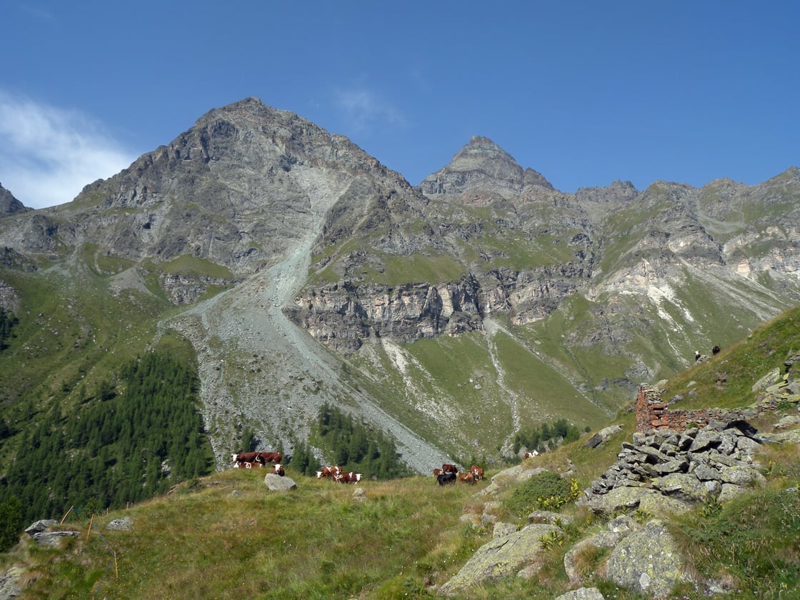 13. Le prime testimonianze storiche dell'utilizzo dell'Alpe Ventina portano alla comunità walser, e in particolare a famiglie risiedenti a Mandriou.