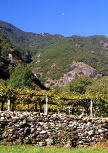 2.Muretto di vigna in fondovalle. Blocchi eterogenei di pietra arrotondati dal trasporto alluvionale. Echallod, Arnad.