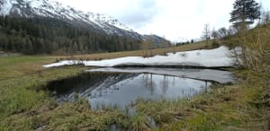 Veduta invernale del laghetto formato dal vecchio inghiottitoio. Un ruscello esce a sinistra in basso... Veduta invernale del laghetto formato dal vecchio inghiottitoio. Un ruscello esce a sinistra in basso...