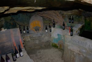 4. La valorizzazione dei "barmet" ha impegnato Ilda per parecchio tempo. Questo si trova in un vigneto di Rovarey (Donnas).