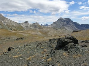 20. Au premier plan un détail de l’affleurement de serpentinites du Combin. Au fond les Cime Bianche et la Roisette.