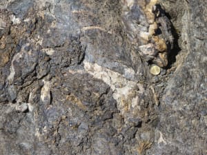 12 - Mica blanc, calcite, quartz, minéraux opaques sont visibles à l'oeil nu dans les schistes lustrés de la Zone Combin.