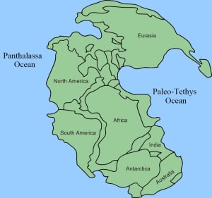 1-1. Ricostruzione paleogeografica dei continenti alla fine dell'era primaria. Da Wikimedia Commons.