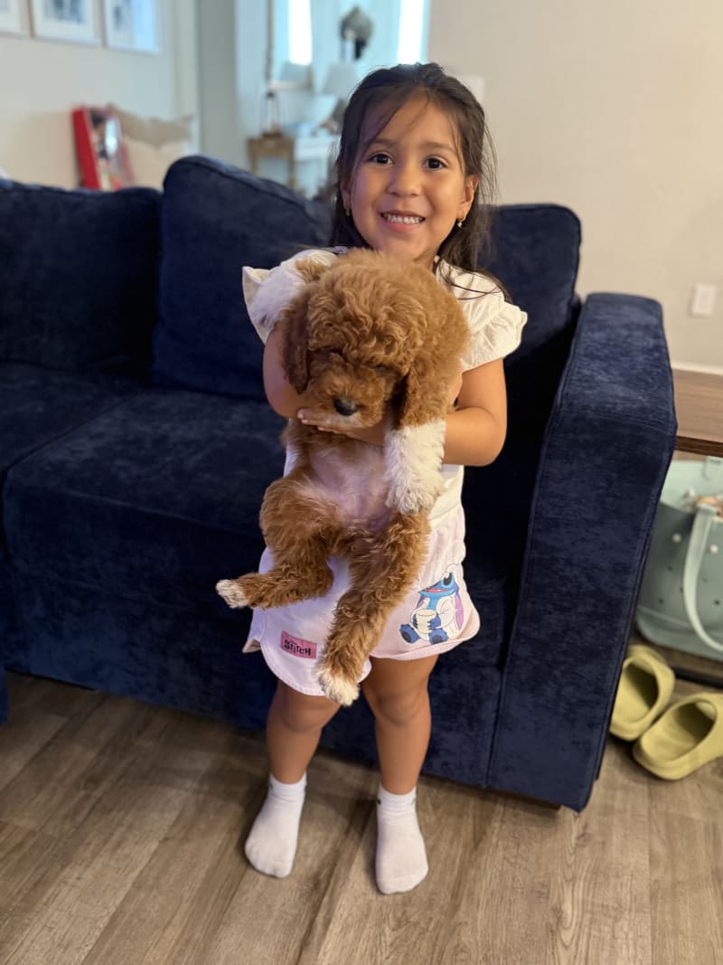 Cachorro junto a su nueva familia feliz