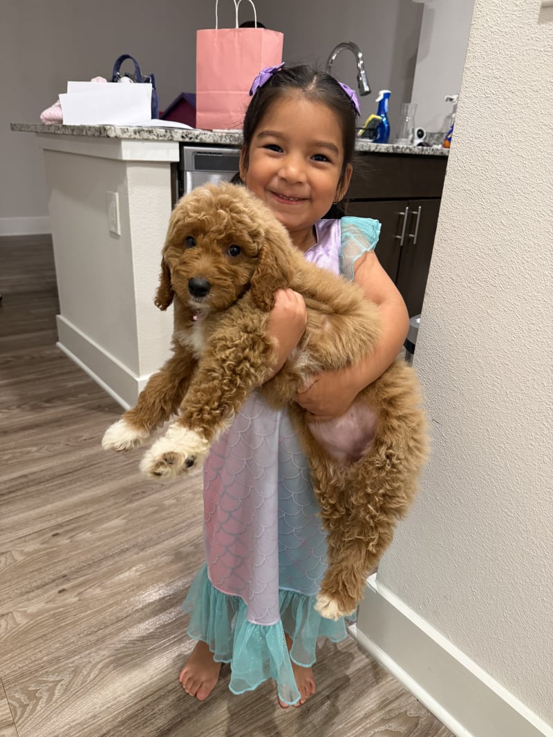 Cachorro junto a su nueva familia feliz