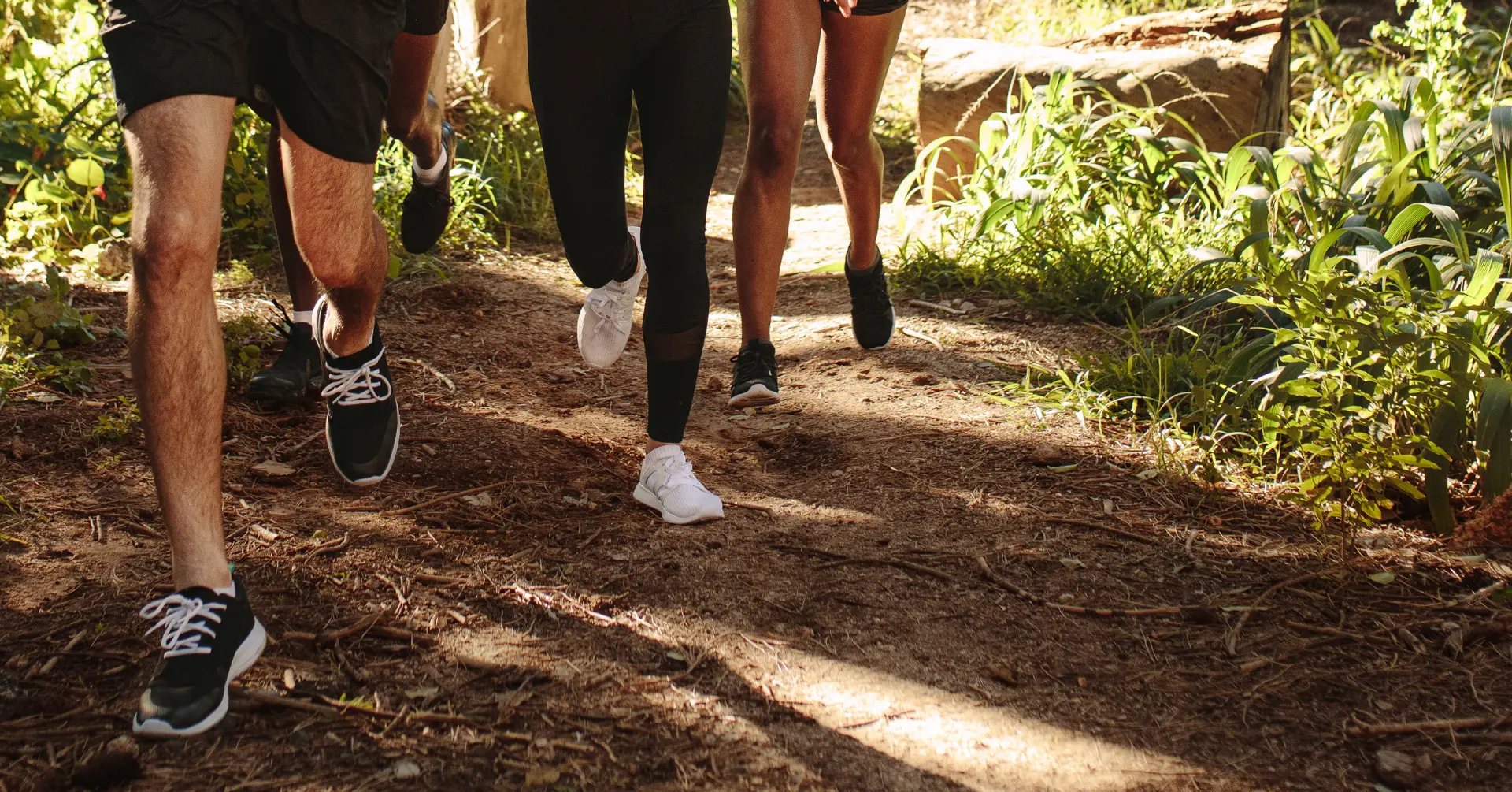 VDP Trail