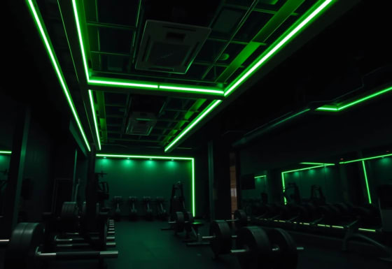 Pulse Fit