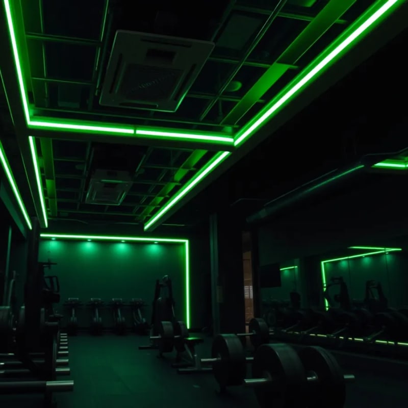 Pulse Fit — 1