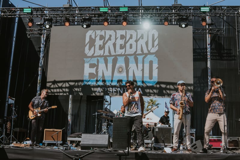 Cerebro Enano — highlighted photo 8