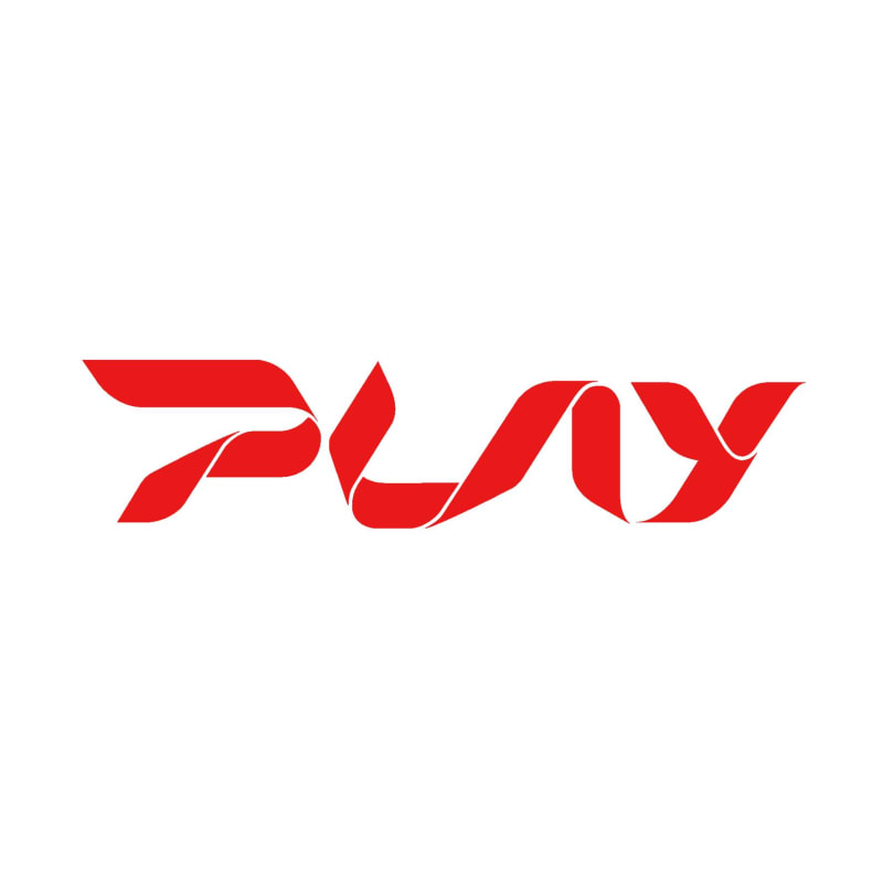 PLAY CLUB