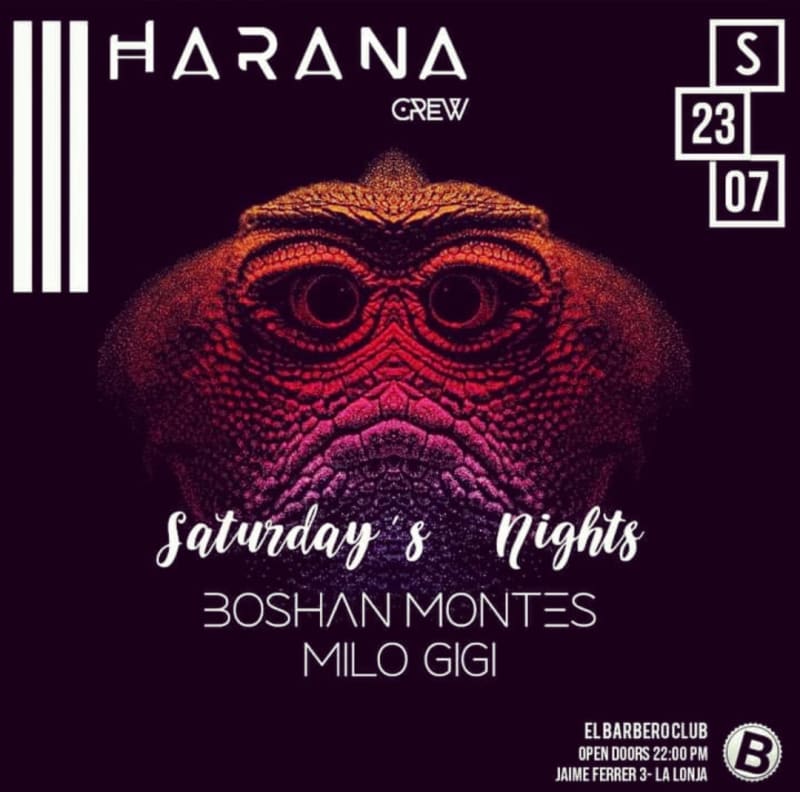 SATURDAY NIGHT`S