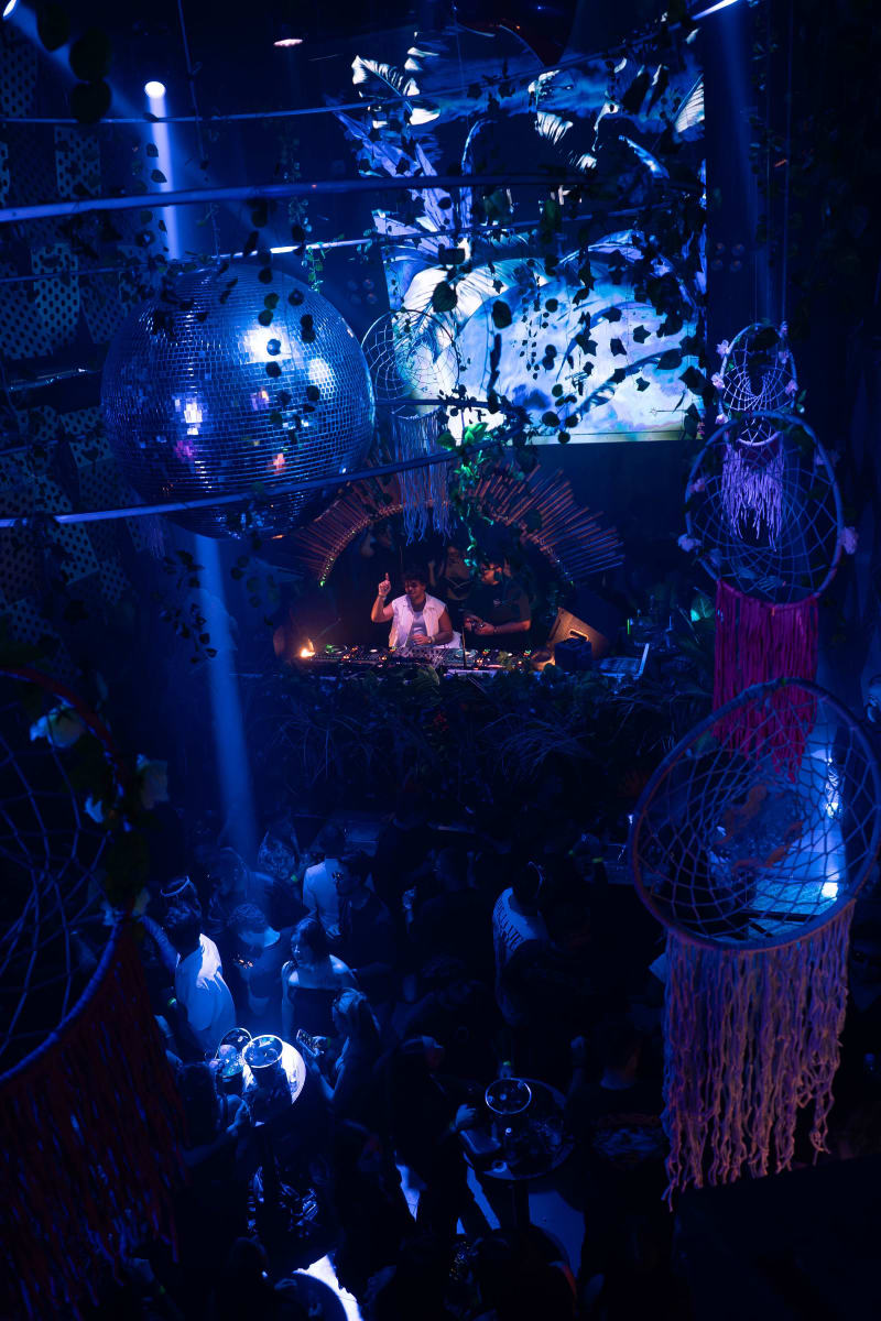 KUDA (col) — highlighted photo 12