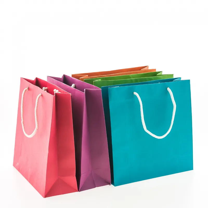 PAPER CARRY BAGS