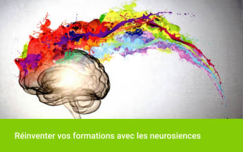 L'art du questionnement en formation