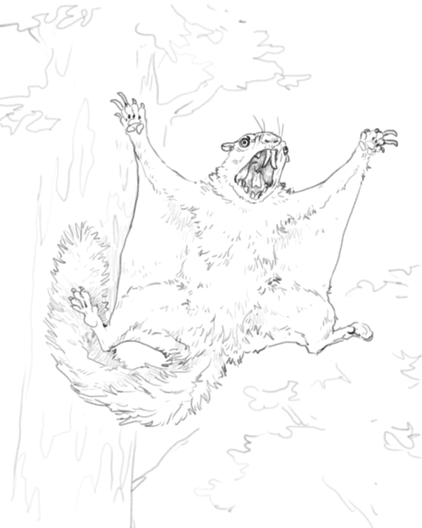 Carnivorous Flying Squirrel