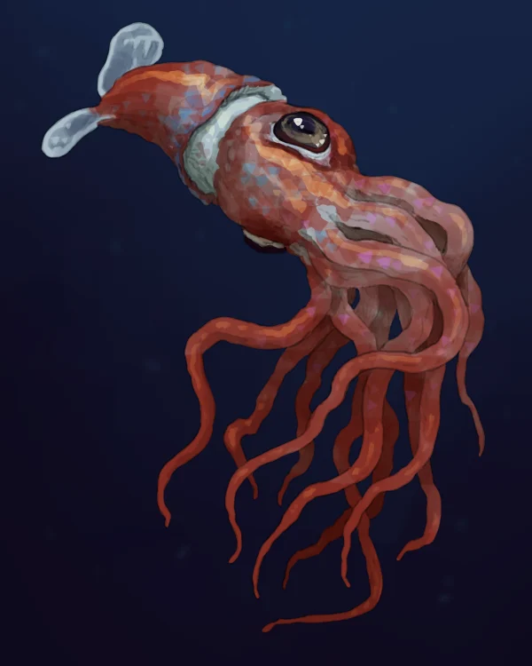 Oshoxi Navigator
