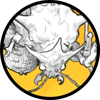 Token