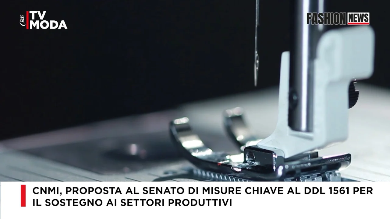 Il contributo di Camera Nazionale della Moda Italiana al DDL 1561 per ...