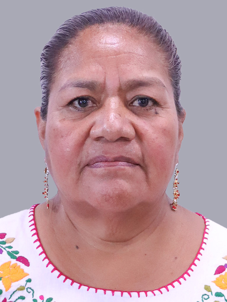 Herminia López Santiago