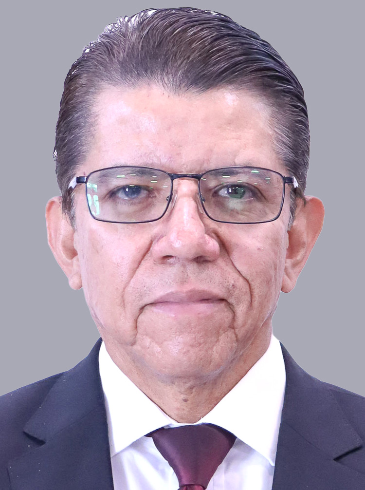 Fernando Mendoza Arce