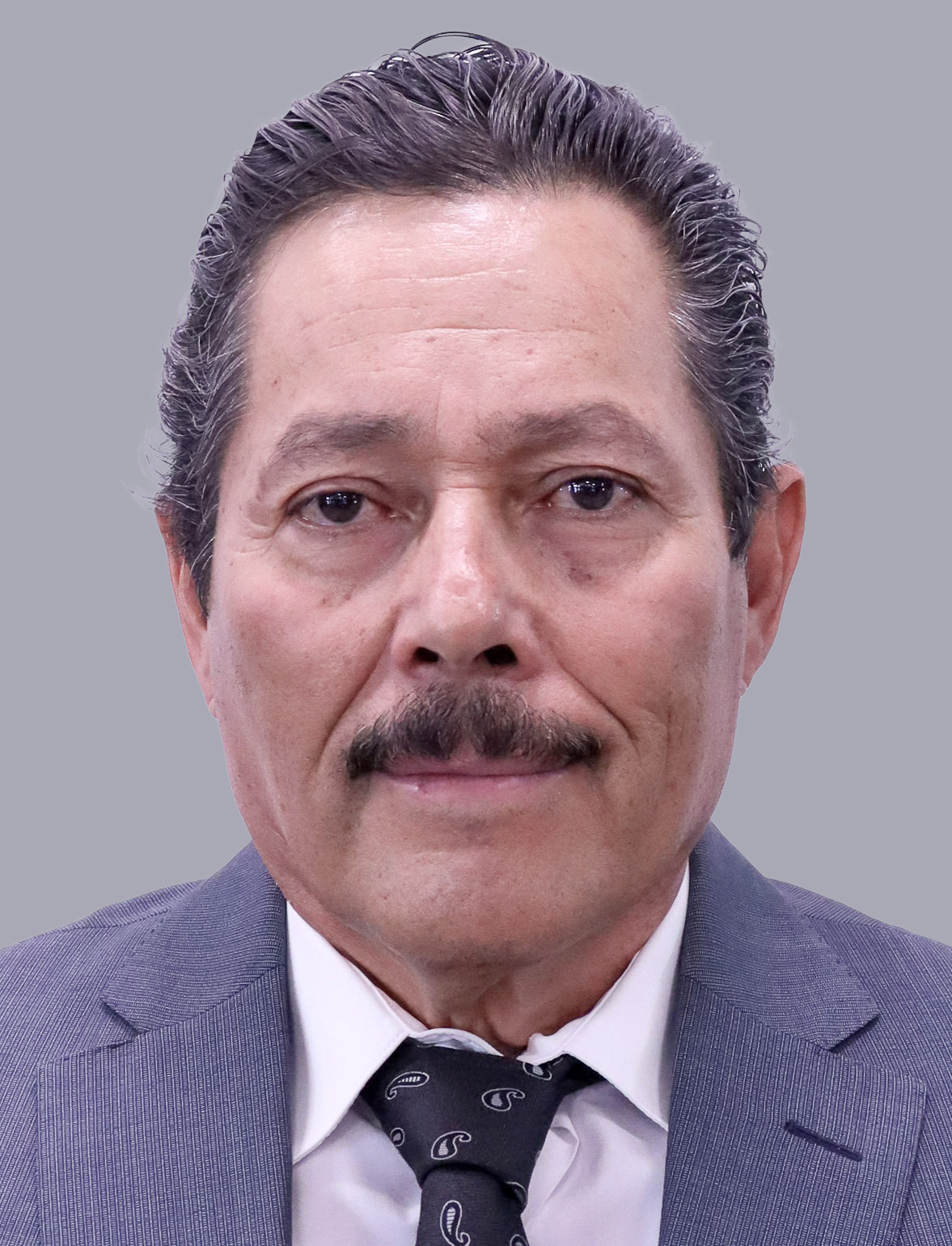 Ricardo Gallardo Juárez
