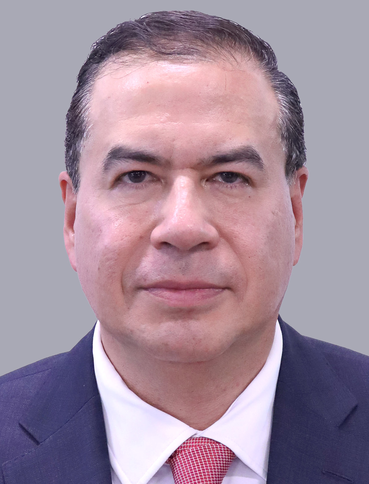 Ricardo Sóstenes Mejía Berdeja