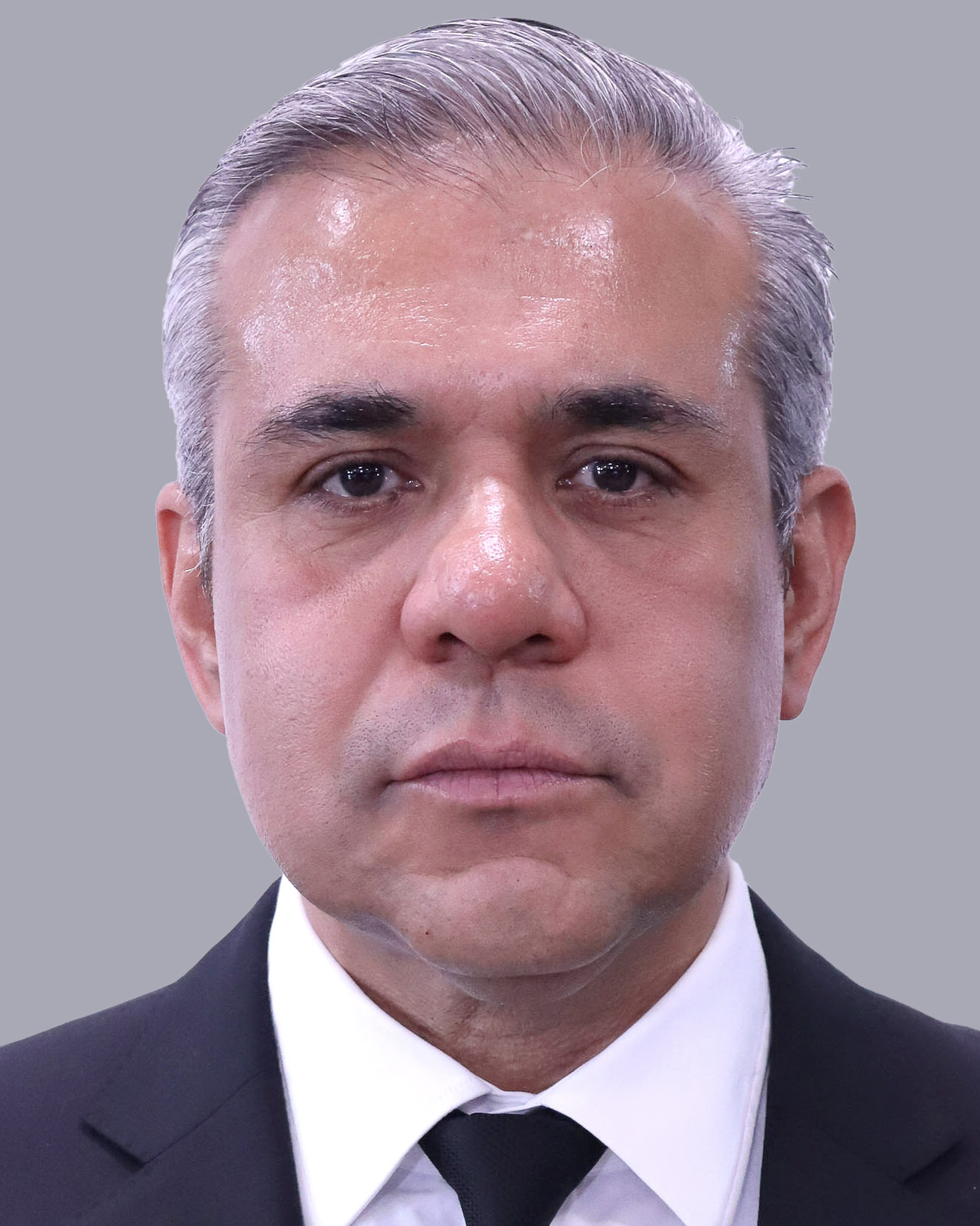 Luis Fernando Vilchis Contreras
