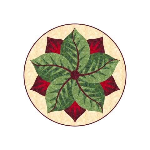 poinsettia1