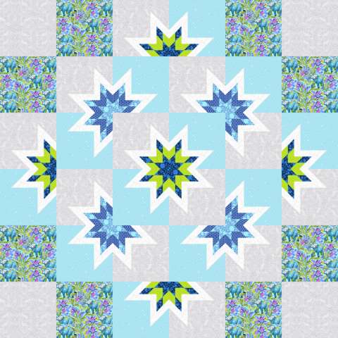 The Goodnight Star