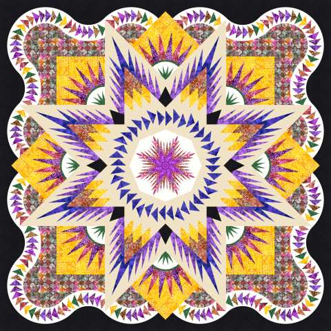 Donna arctic star 2026