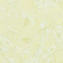 Timeless Treasures - Tonga Wallflowers | Manufacturer Discontinued - Tonga-B7900-Celadon