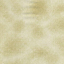 Timeless Treasures - Autumn Palatte - Shimmer-Ivory