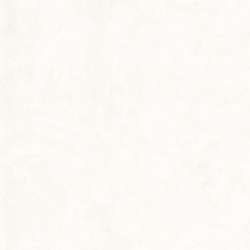 Timeless Treasures - Tonga Wallflowers - Tonga-B7900-Tissue