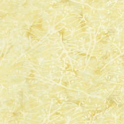 Timeless Treasures - Tonga Wallflowers | Manufacturer Discontinued - Tonga-B5054-Beige