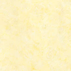 Timeless Treasures - Tonga Wallflowers | Manufacturer Discontinued - Tonga-B6166-Mellow