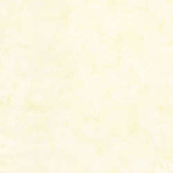 Timeless Treasures - Tonga Wallflowers - Tonga-B7900-Ghost