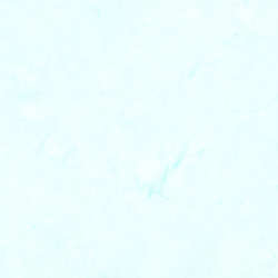 Timeless Treasures - Tonga Wallflowers - Tonga-B7900-Whisper